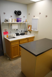 Patient exam room with paw-print wall detail