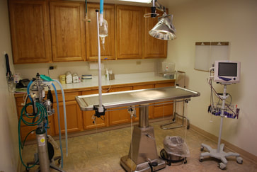 Sterile surgery suite with surgical table, anesthesia and monitoring equipment