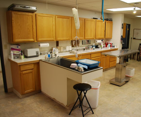 Treatment and prep room with clinical work surfaces